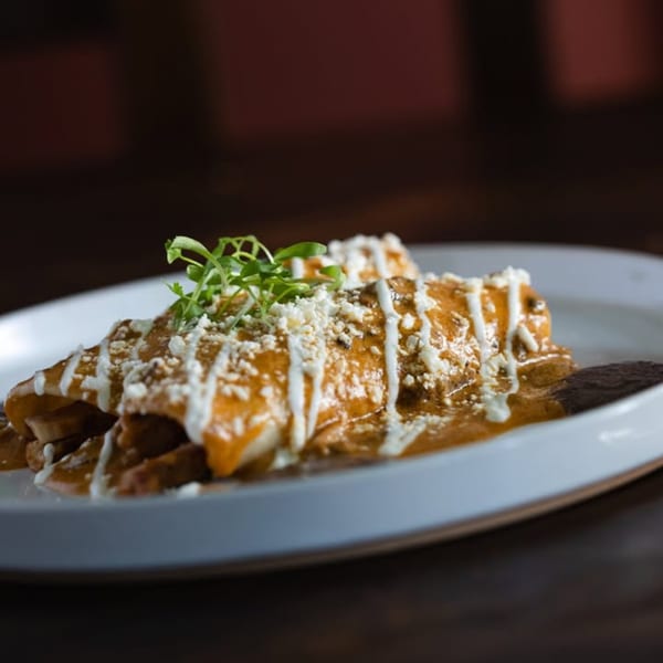 Two enchiladas covered in orange sauce, white crema, crumbled cheese, and microgreens on a white plate.